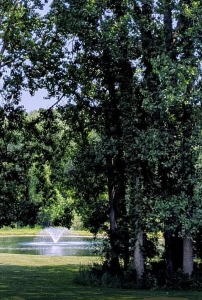 2205 Lake Wood Drive Summit Township MI 49203