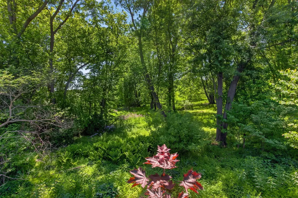 9621 W Michigan Avenue Sandstone Township MI 49269