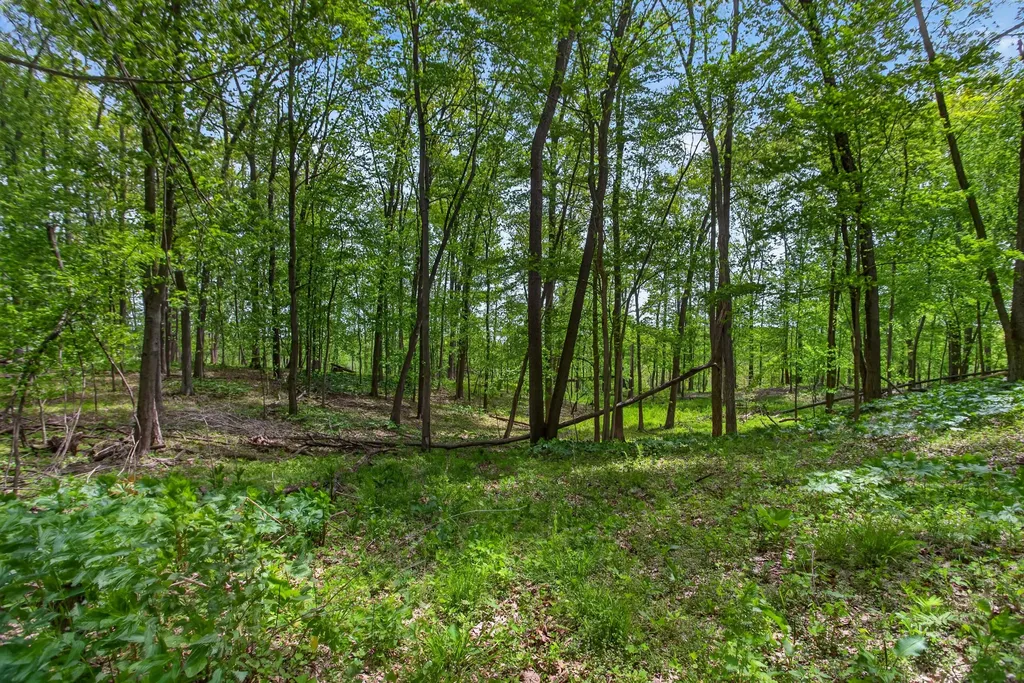 4681 Folks Road Hanover Township MI 49246