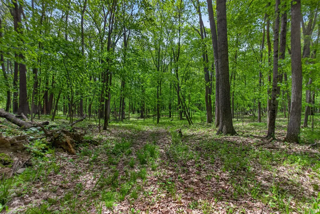 4681 Folks Road Hanover Township MI 49246
