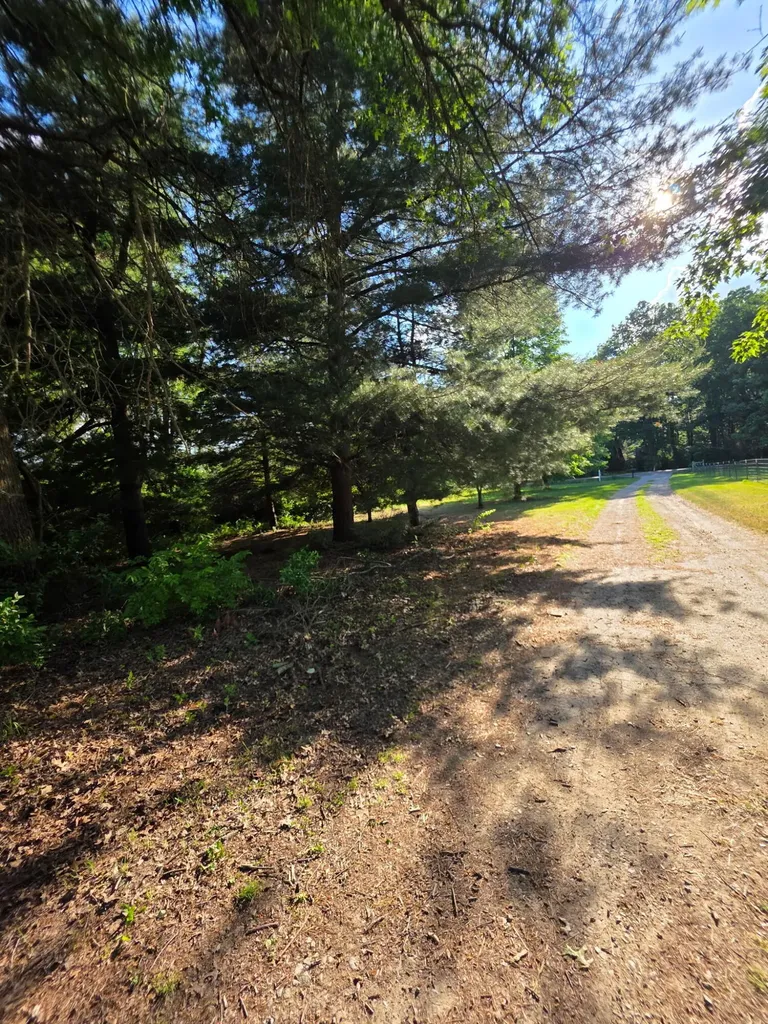 4201 Secor Road Ida Township MI 48140