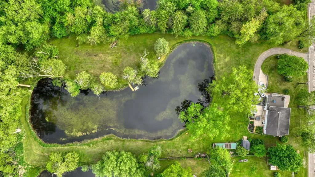 6541 Ackerson Lake Road Napoleon Township MI 49201