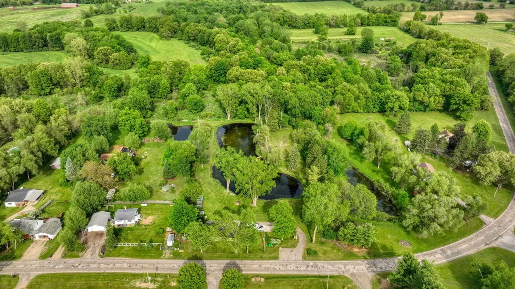 6541 Ackerson Lake Road Napoleon Township MI 49201