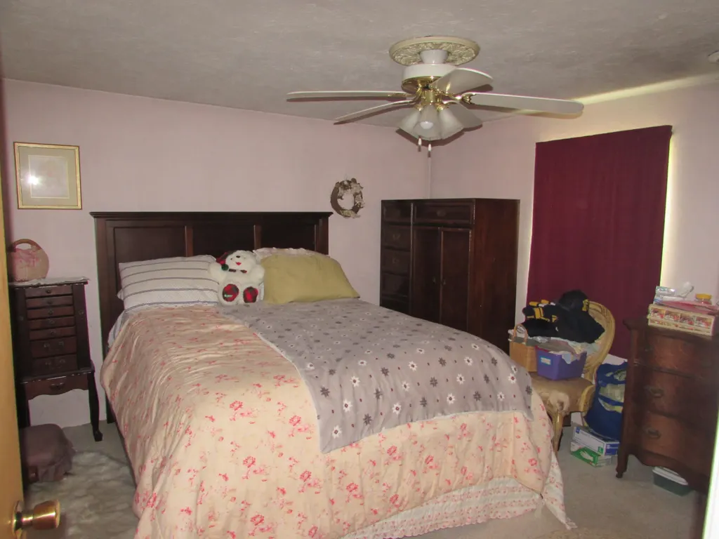 430 W Race Street Leslie City MI 49251