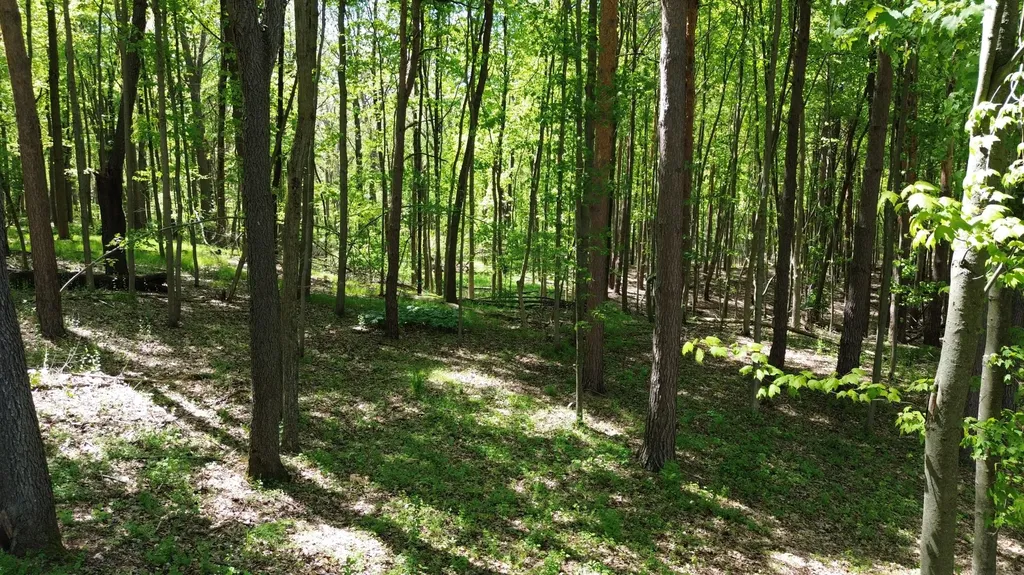 712 Glen Oak Drive Unknown City MI 48158