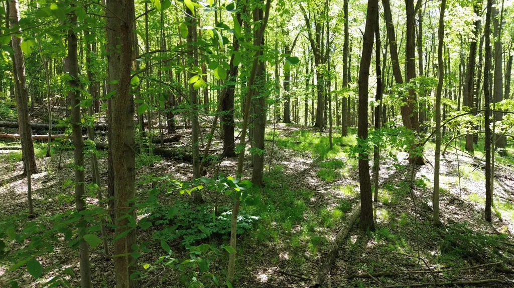 712 Glen Oak Drive Unknown City MI 48158