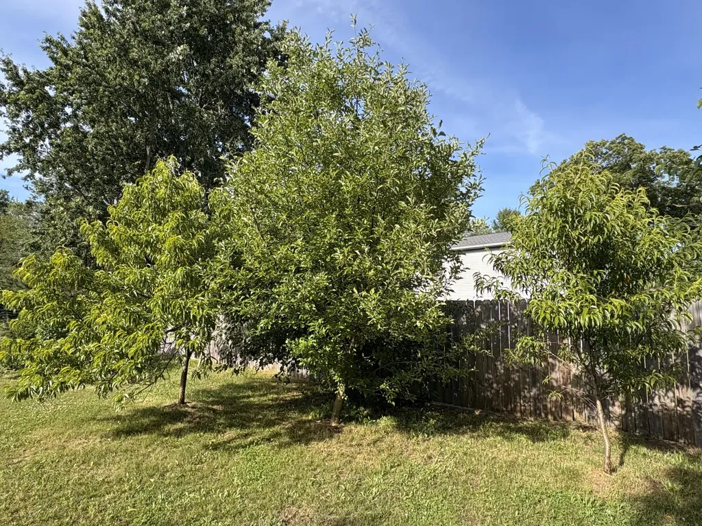 9065 Nature Way Oshtemo Charter Township MI 49009