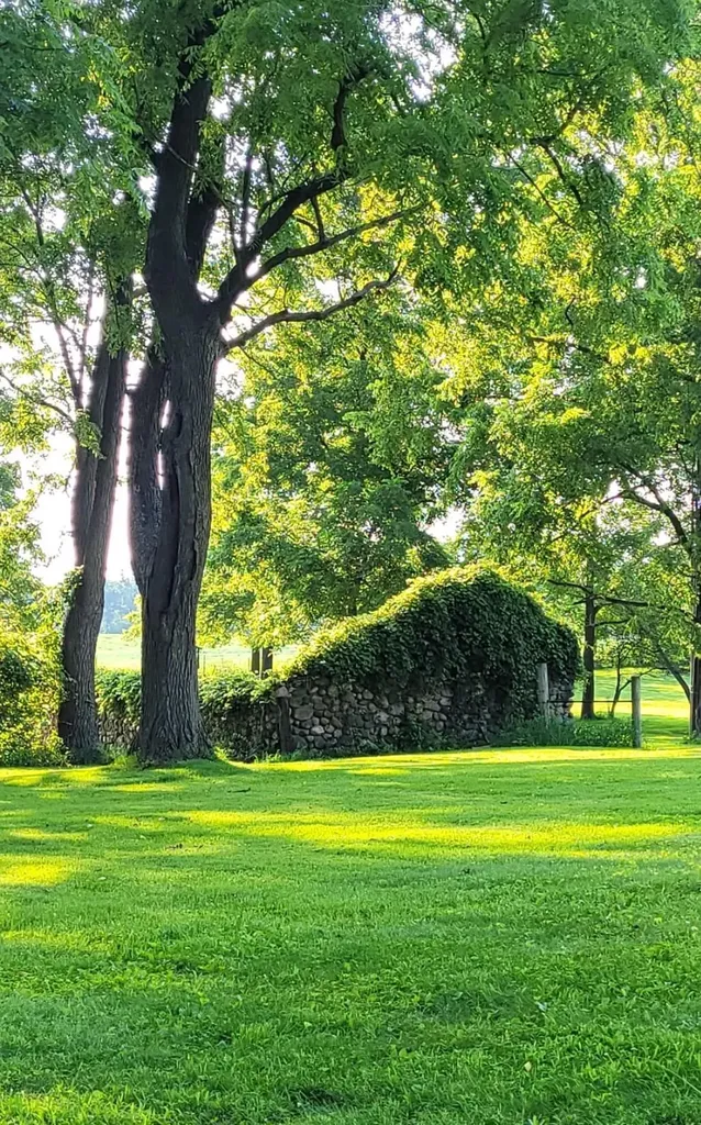 208 Glasgow Road Sandstone Township MI 49201