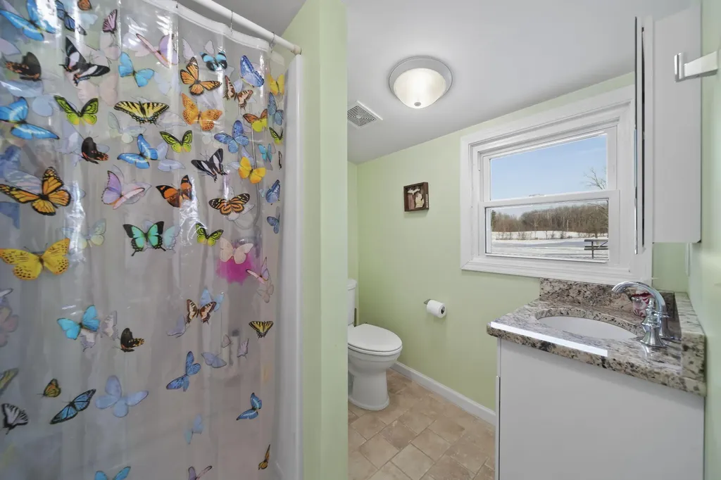 208 Glasgow Road Sandstone Township MI 49201