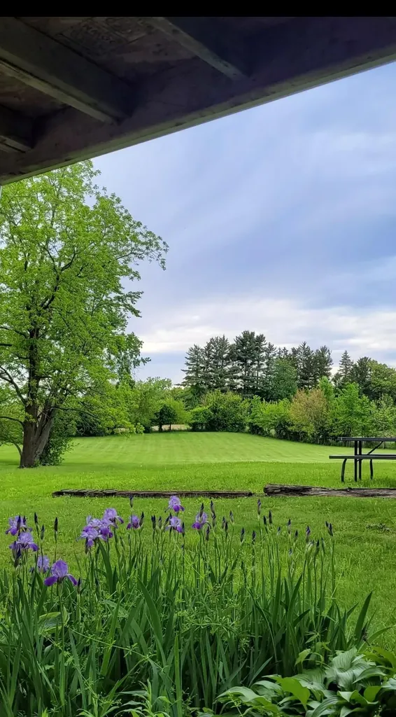 208 Glasgow Road Sandstone Township MI 49201