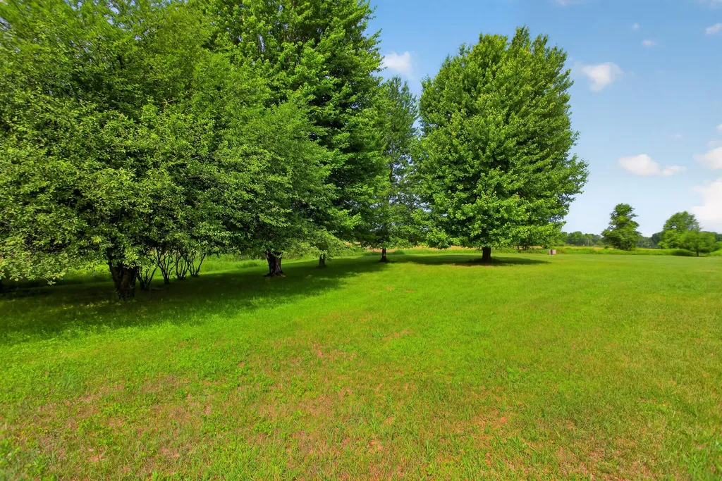 11765 Crawford Road Springport Township MI 49284