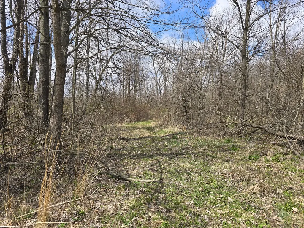 1284 Maple Grove Road Rives Township MI 49201