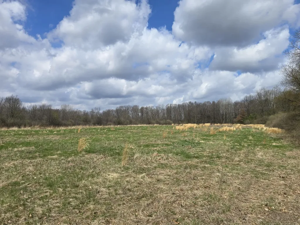 1284 Maple Grove Road Rives Township MI 49201