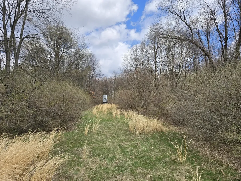 1284 Maple Grove Road Rives Township MI 49201