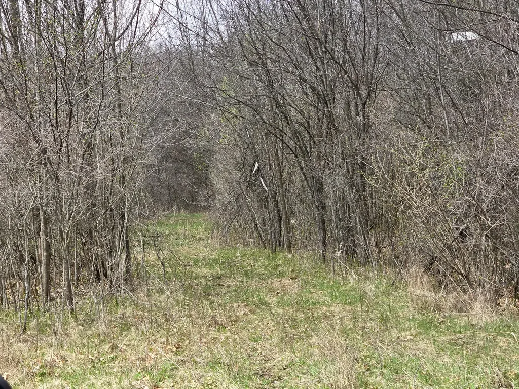 1284 Maple Grove Road Rives Township MI 49201