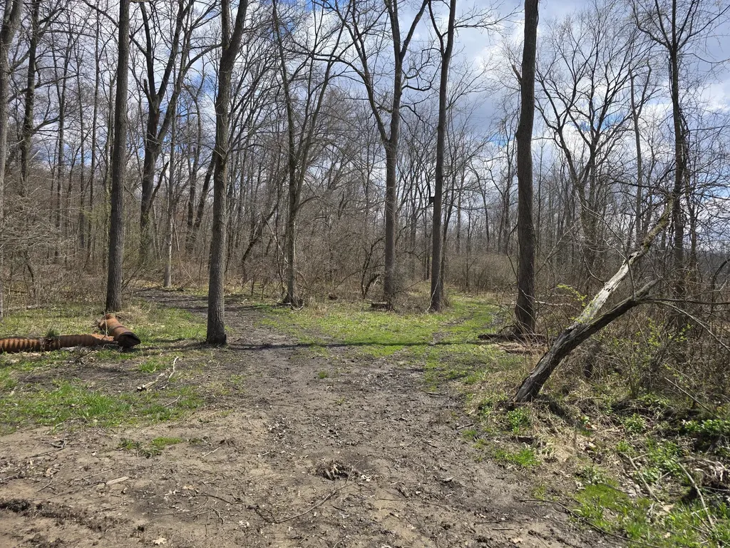 1284 Maple Grove Road Rives Township MI 49201