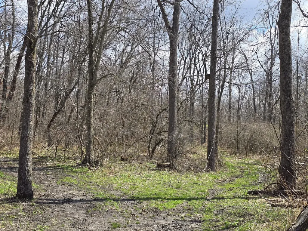 1284 Maple Grove Road Rives Township MI 49201