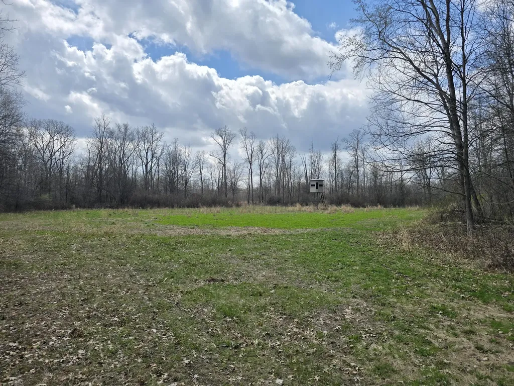 1284 Maple Grove Road Rives Township MI 49201