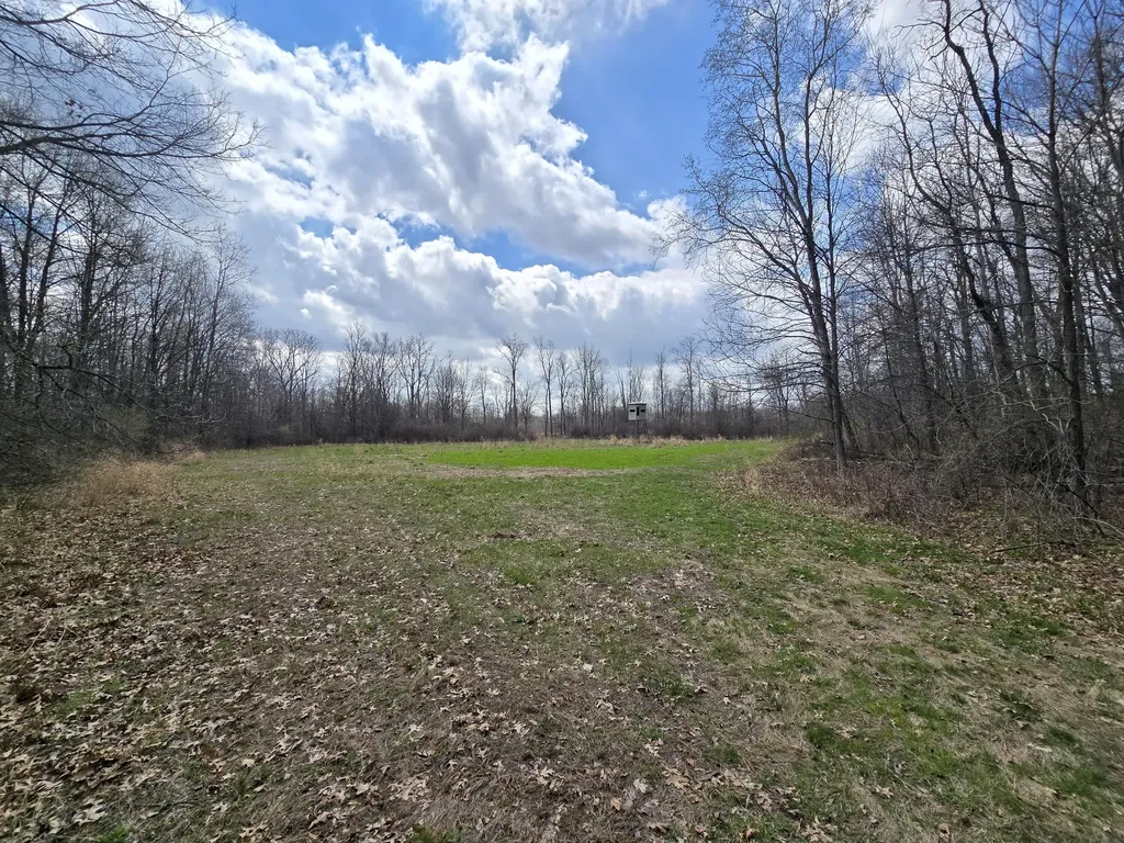1284 Maple Grove Road Rives Township MI 49201