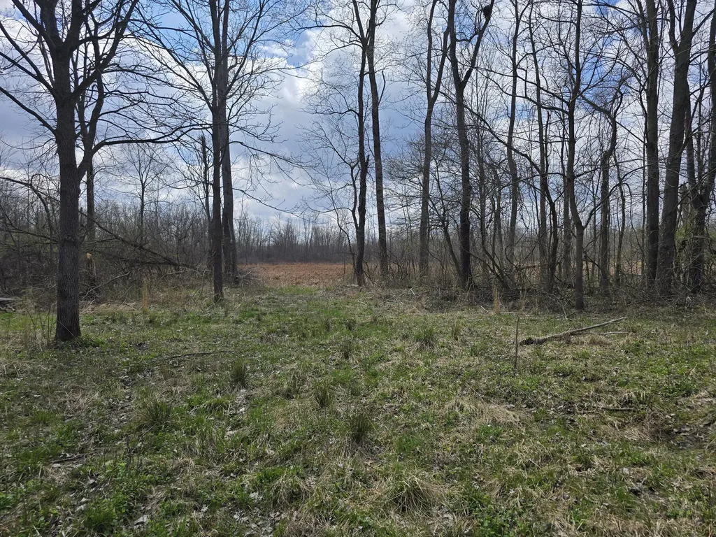 1284 Maple Grove Road Rives Township MI 49201