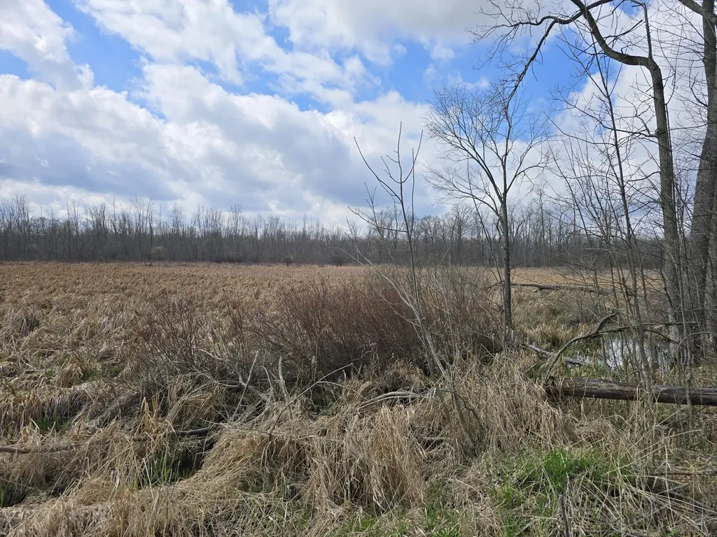 1284 Maple Grove Road Rives Township MI 49201