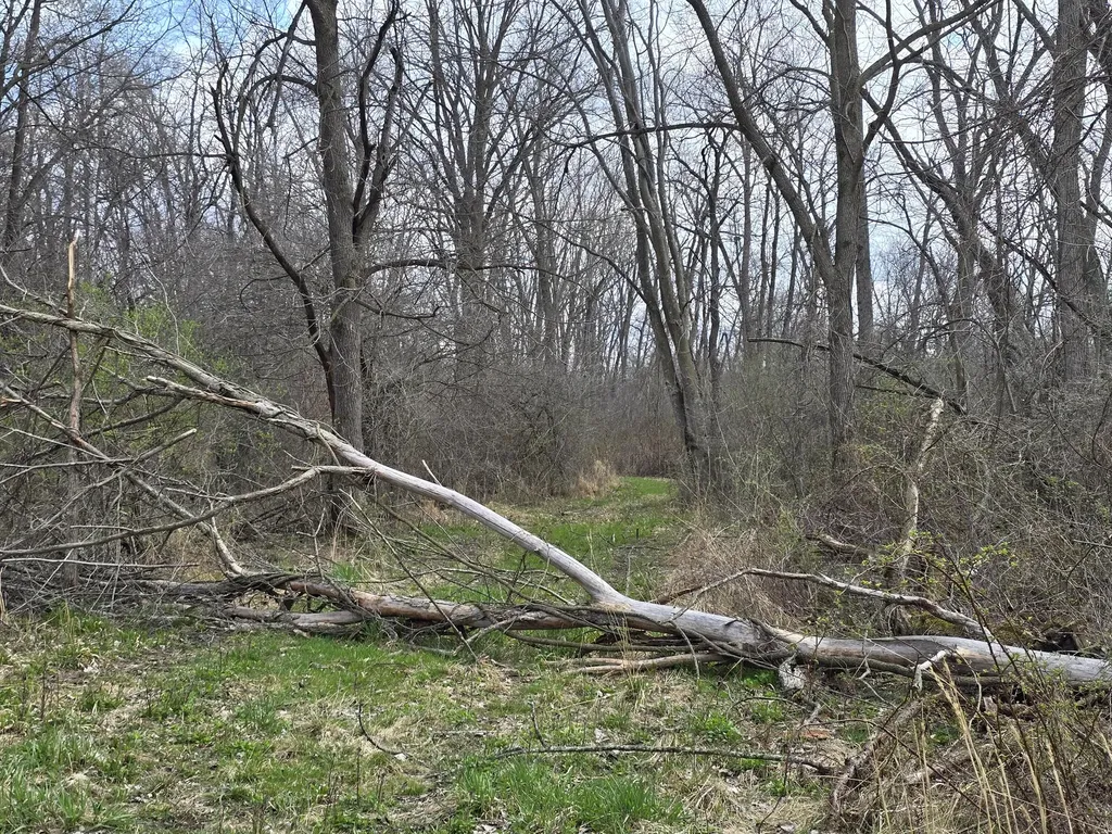 1284 Maple Grove Road Rives Township MI 49201