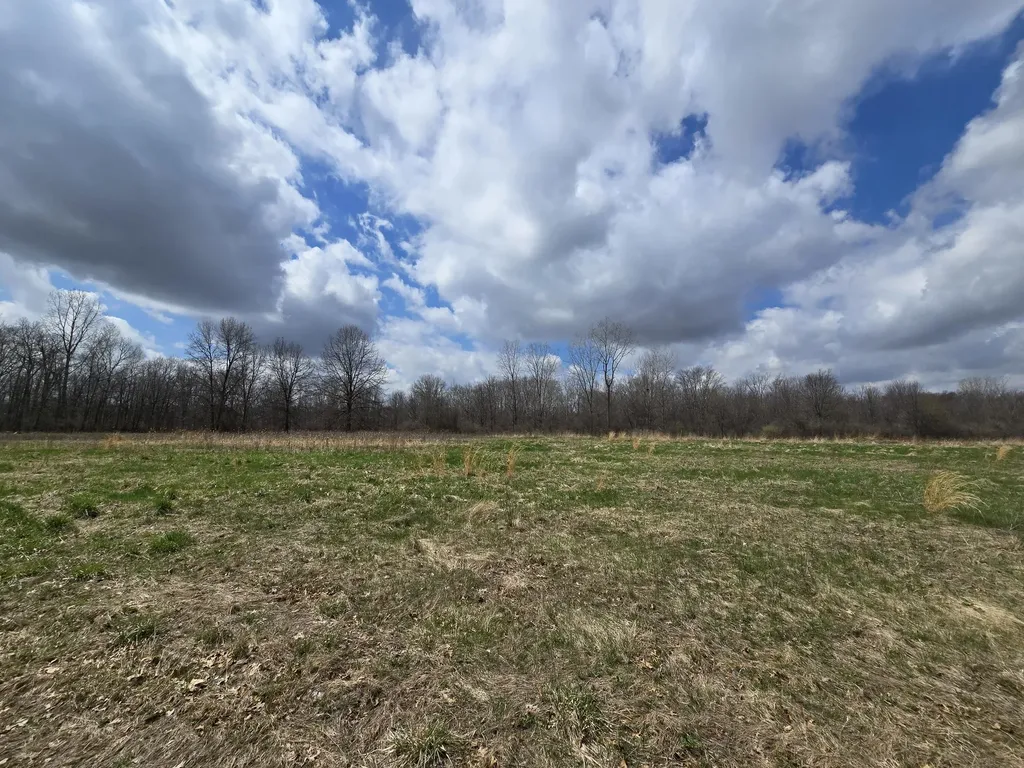 1284 Maple Grove Road Rives Township MI 49201