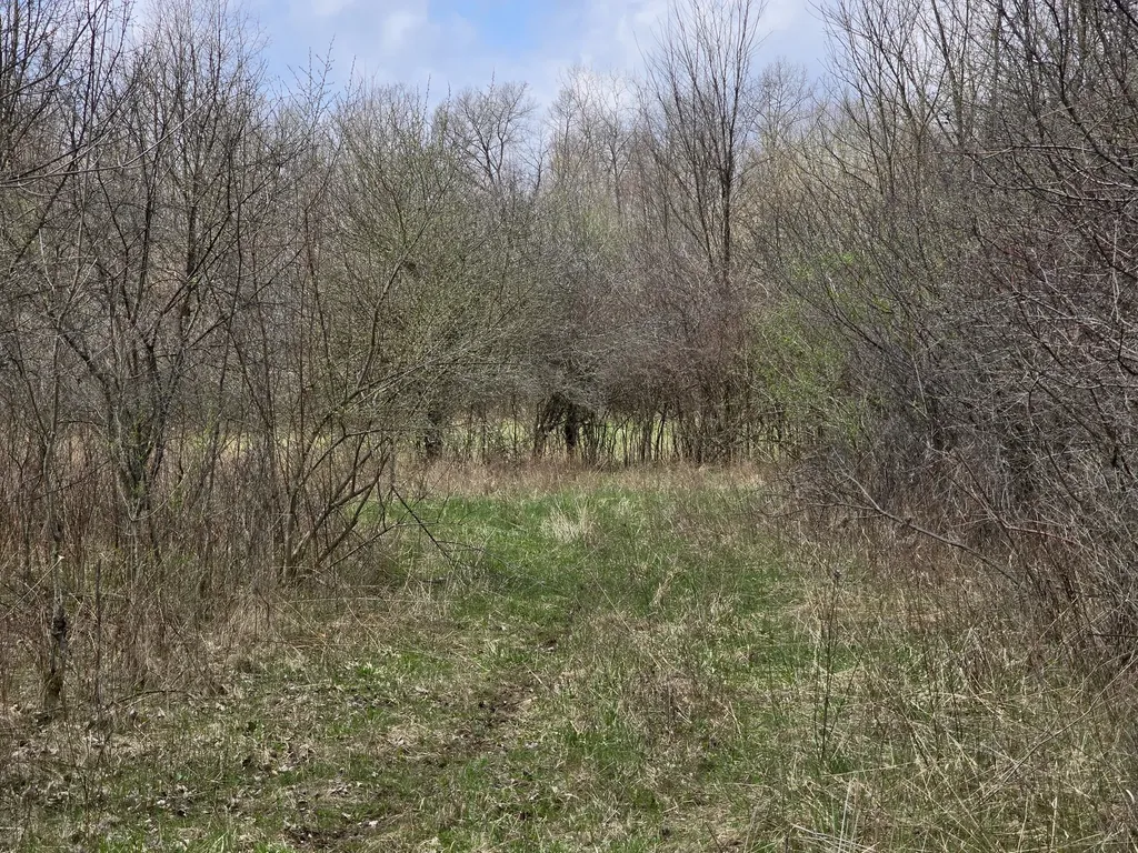1284 Maple Grove Road Rives Township MI 49201