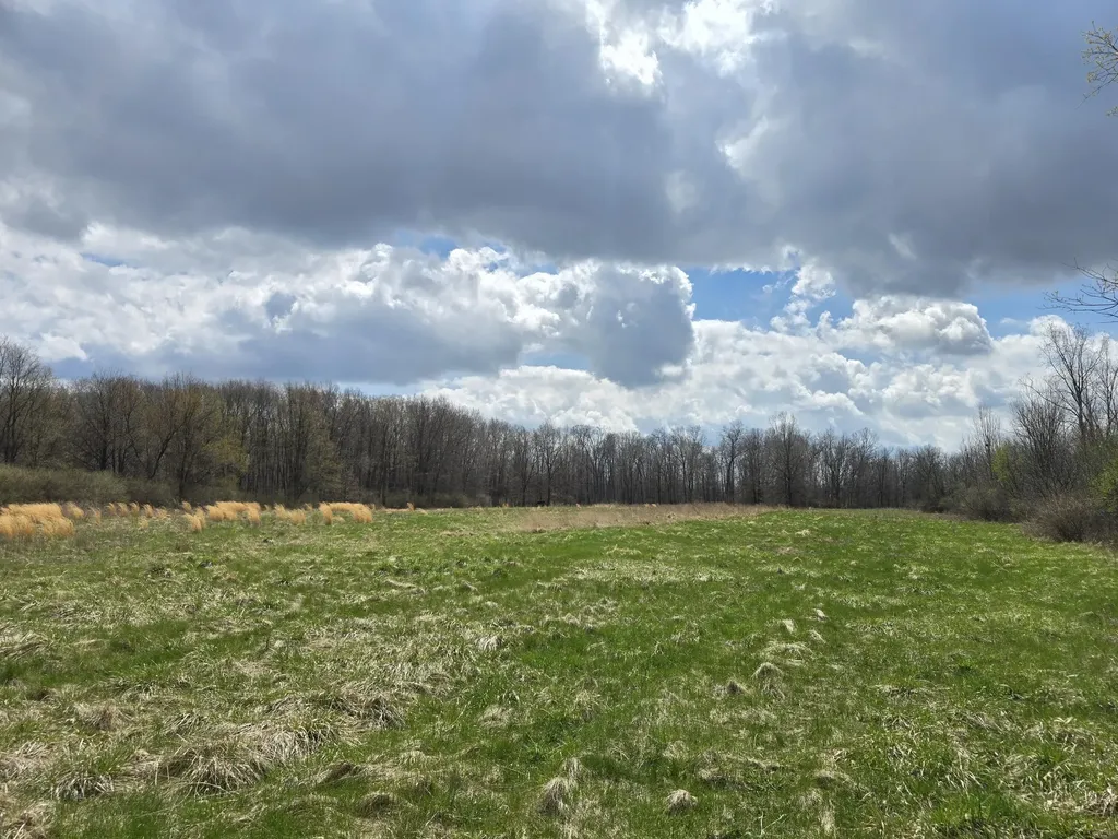 1284 Maple Grove Road Rives Township MI 49201