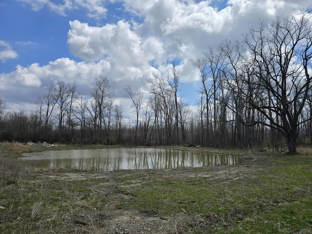 1284 Maple Grove Road Rives Township MI 49201