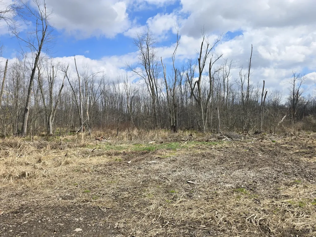 1284 Maple Grove Road Rives Township MI 49201