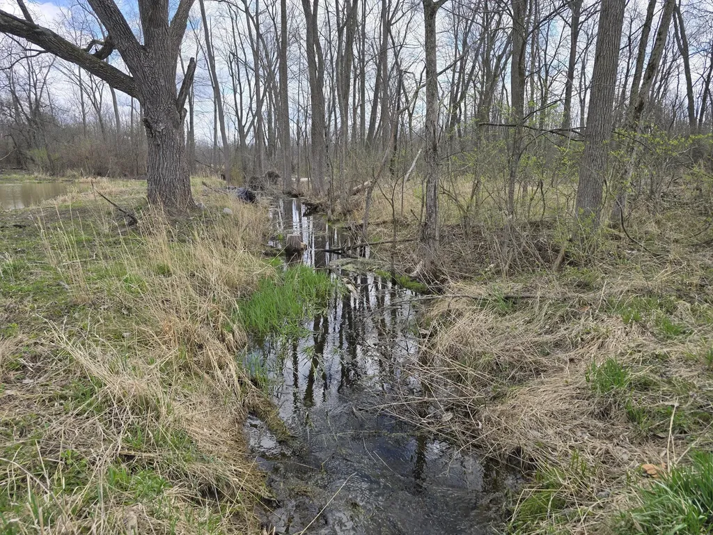 1284 Maple Grove Road Rives Township MI 49201