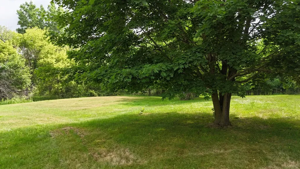 4891 N Kelso Road Wheatland Township MI 49262