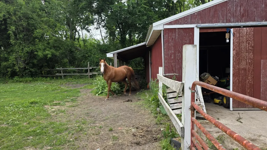 17281 Ely Road Manchester Township MI 48158