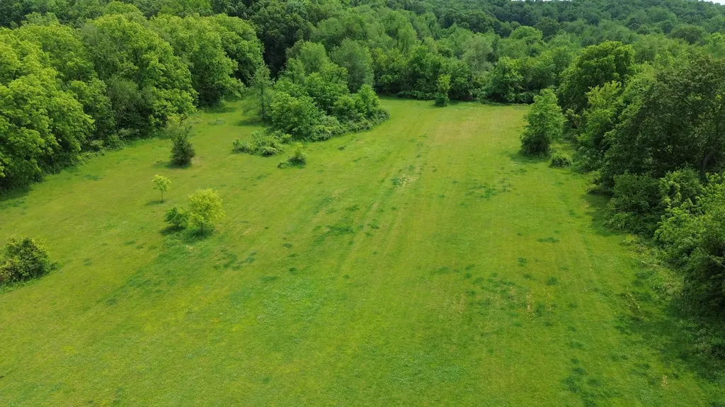 17281 Ely Road Manchester Township MI 48158