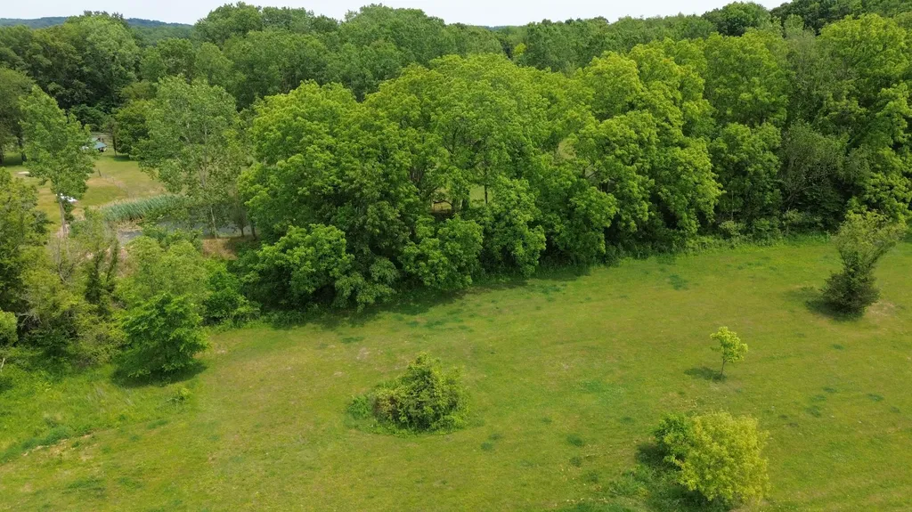 17281 Ely Road Manchester Township MI 48158