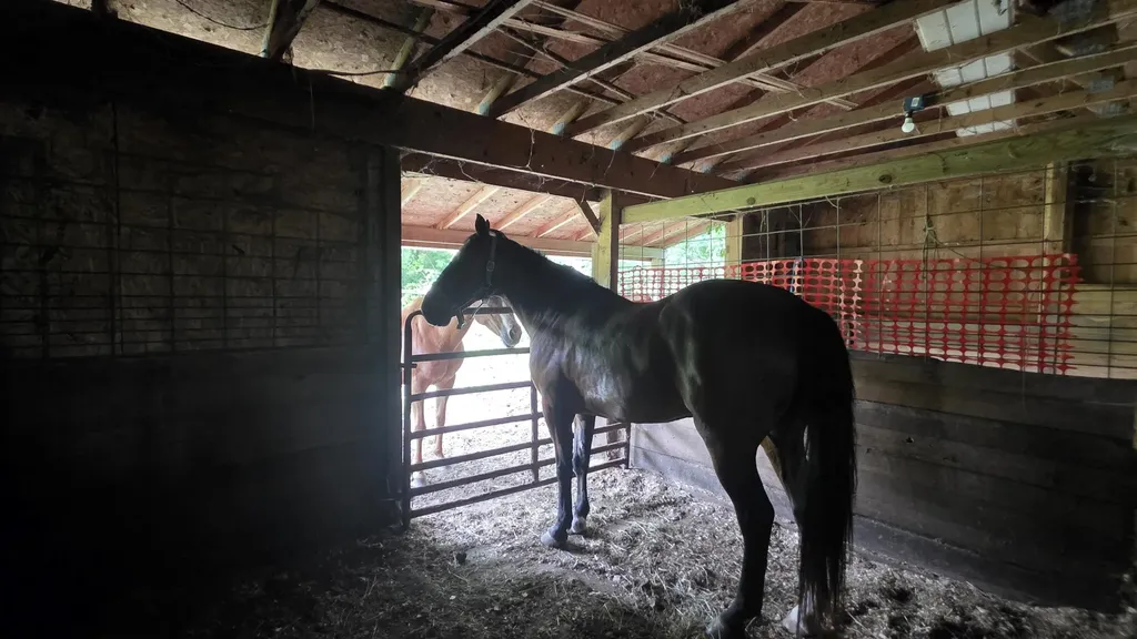 17281 Ely Road Manchester Township MI 48158