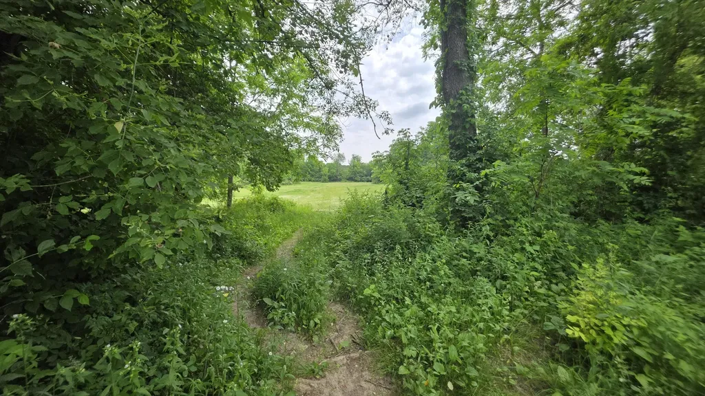 17281 Ely Road Manchester Township MI 48158