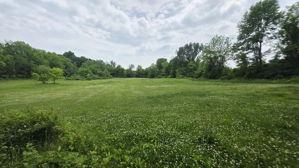 17281 Ely Road Manchester Township MI 48158