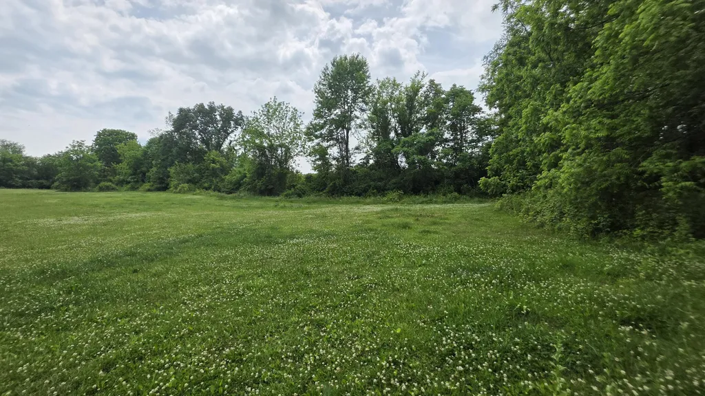 17281 Ely Road Manchester Township MI 48158