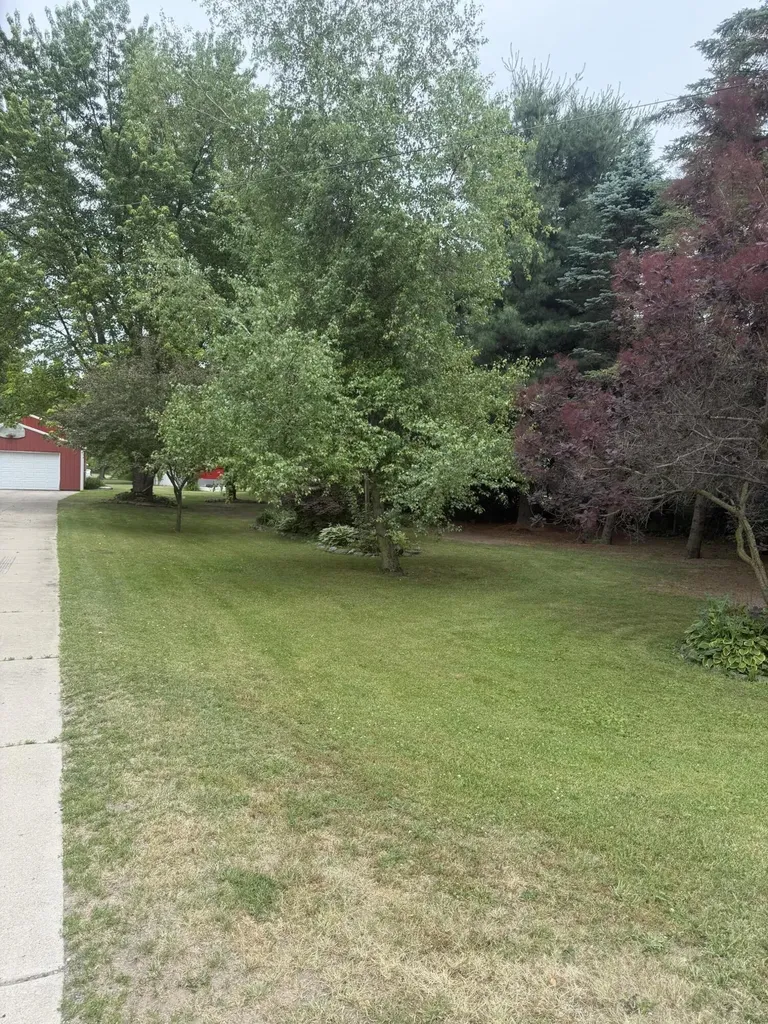 283 East Avenue Napoleon Township MI 49261