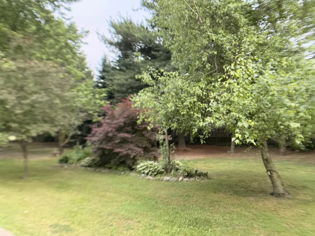 283 East Avenue Napoleon Township MI 49261