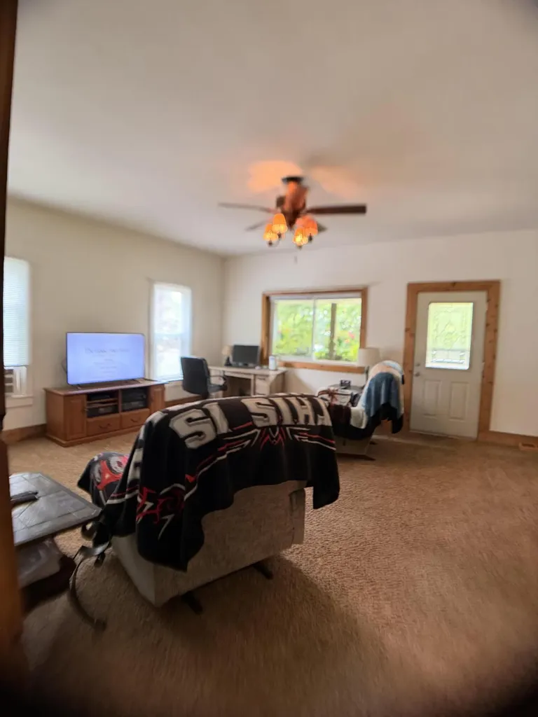 283 East Avenue Napoleon Township MI 49261