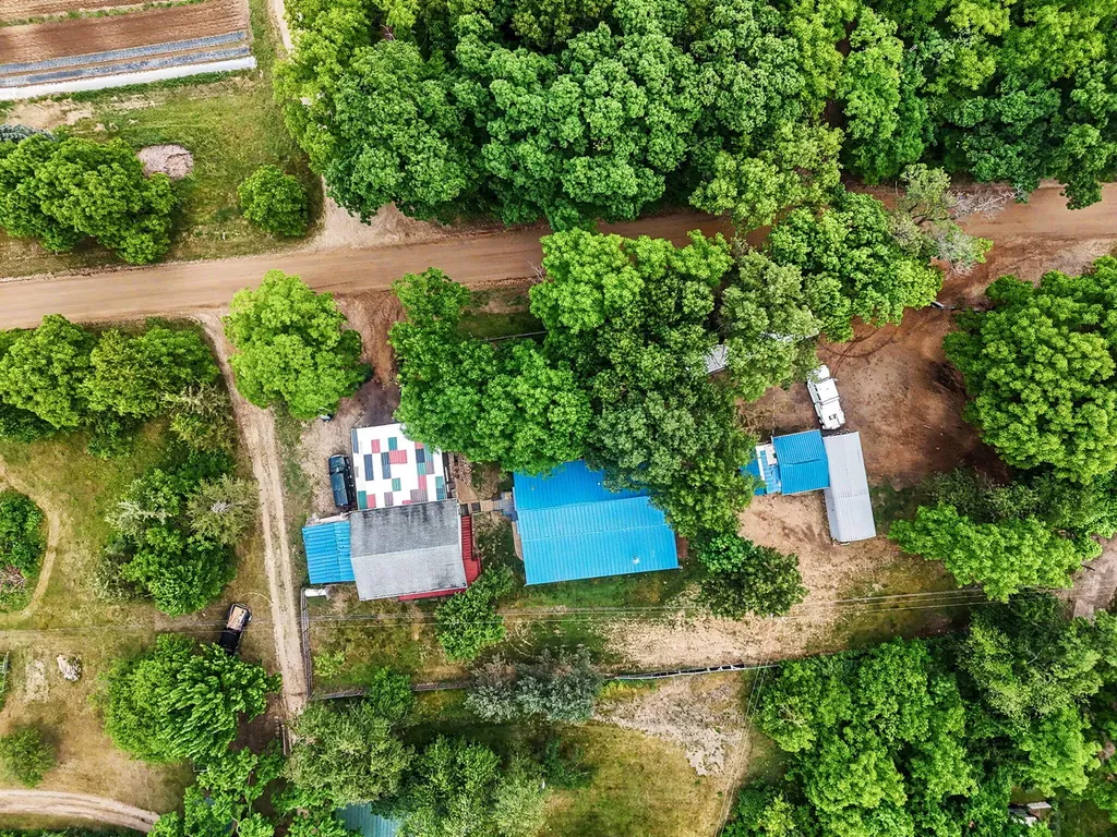 11808 Beech Road Norvell Township MI 49230