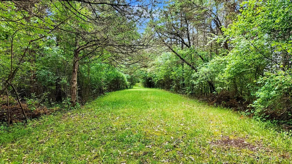 11255 Case Road Norvell Township MI 49230