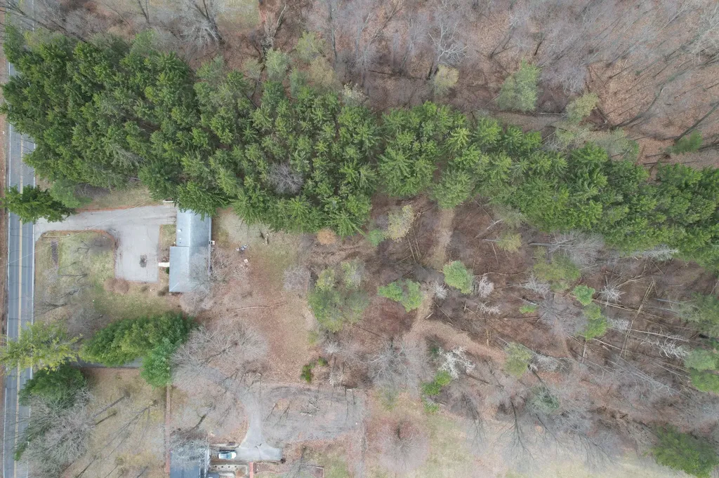 4491 S Jackson Road Summit Township MI 49201