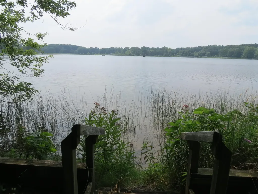 890 White Lake Road Henrietta Township MI 49272