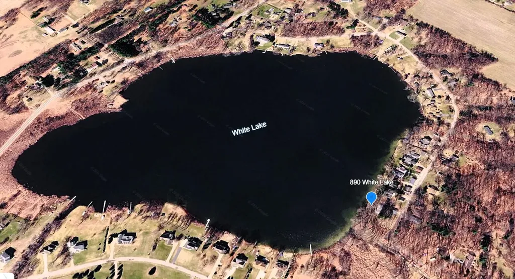890 White Lake Road Henrietta Township MI 49272