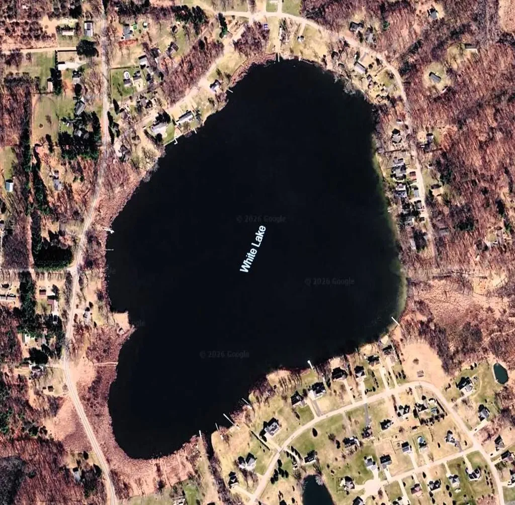 890 White Lake Road Henrietta Township MI 49272