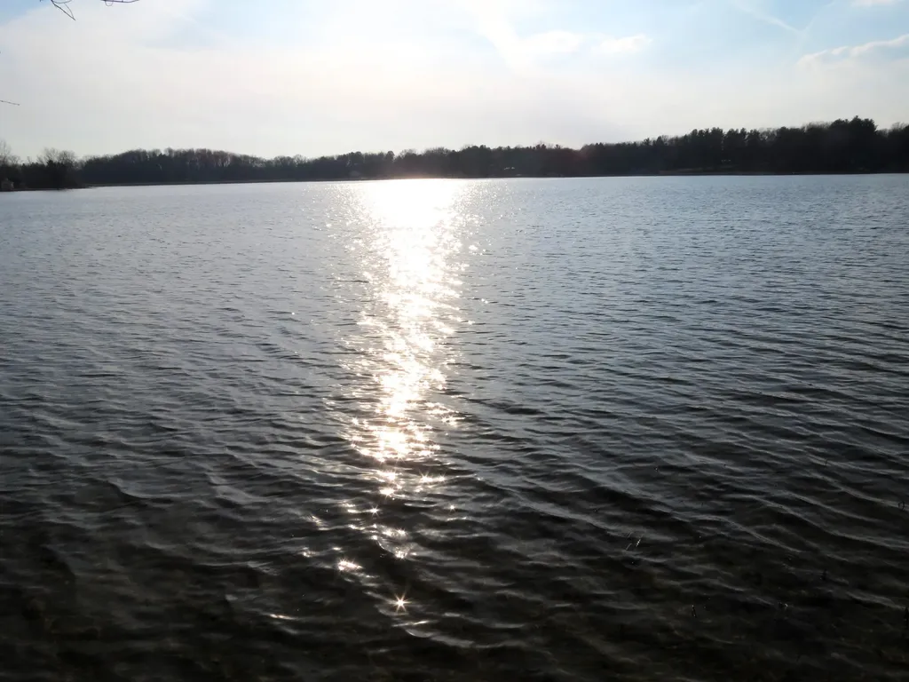 890 White Lake Road Henrietta Township MI 49272